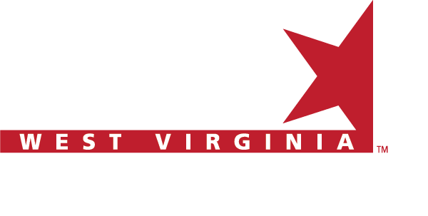 DEC logo white